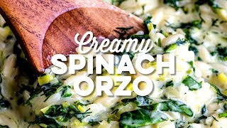 Creamy Spinach Orzo  Supergolden Bakes [upl. by Enyledam854]