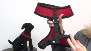 Casual Canine Mesh Harness  Red [upl. by Haroppizt]