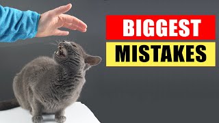 20 Common Mistakes Cat Owners Make [upl. by Sixel]