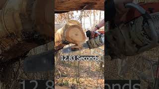 Stihl MS362 vs 041 and MS250 [upl. by Maggy]