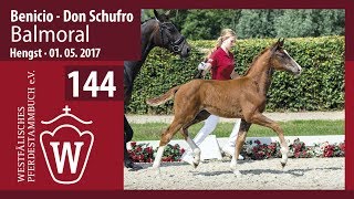 144 Balmoral Hengst v Benicio  Don Schufro [upl. by Jangro]