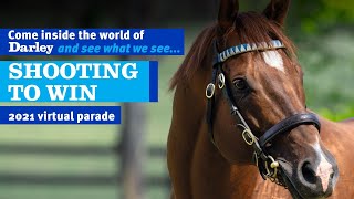 2021 Darley Australia Stallion Parade  Shooting To Win [upl. by Nawek558]