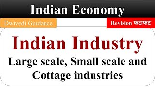 Indian Industry Large Scale Industries Small Scale Industries Cottage Industries Indian Economy [upl. by Garibald217]