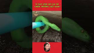 Lí do Mỹ thất bại tại chiến trường Việt Nam shotsvideo giảitrí tintuc chiếntranh hoakỳ khampha [upl. by Airyk979]