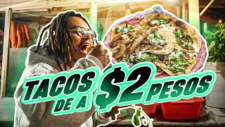 TACOS DE SUADERO DE A 2 PESOS  Lalo Elizarrarás [upl. by Ecidnacal]