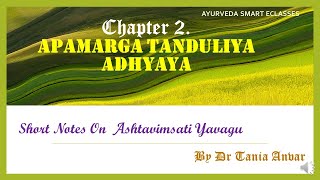 Chapter 2 Apamarga Tanduliya Adhyaya  Short Notes On Ashtavimsati Yavagu  AIAPGETAMOPSCBAMS [upl. by Rosdniw]