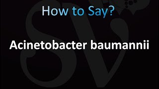 How to Pronounce Acinetobacter baumannii CORRECTLY [upl. by Gnov]