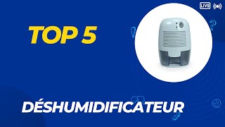 Les 5 Meilleur Déshumidificateur 2024  Top 5 Déshumidificateur Modèles [upl. by Hanleigh]