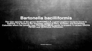 Medical vocabulary What does Bartonella bacilliformis mean [upl. by Htrowslle719]