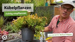 Kübelpflanzen für Garten Balkon und Terrasse  Richtig einpflanzen  gardify Tipps [upl. by Keldah]