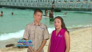 Aqua Kids  Hawaiian Monk Seals  Hawaiian Adventure [upl. by Yerhpmuh]