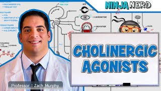 Autonomic Pharmacology  Cholinergic Agonists [upl. by Shelba]