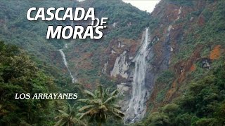 COMO LLEGAR A LA CASCADA DE MORAS  8 KILÓMETROS DE DESCENSO AL SUBTRÓPICO [upl. by Eniamurt488]