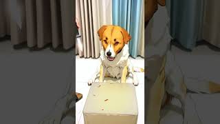 When Your Dog Thinks He’s a Cat Epic Moments 🐕🐱 funnydogs shortvideo shortsvideo trending [upl. by Madeline]