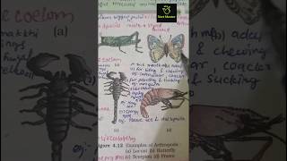 Arthropoda Animal kingdom ncert imp diagram class 11th ncert biology neet2025 aiims mbbs [upl. by Einre]