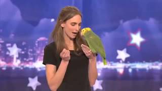 America’s Got Talent Parrot singing over the rainbow [upl. by Neved104]