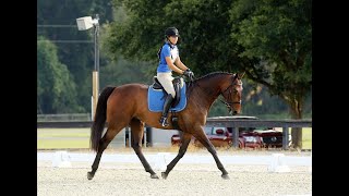 US Event Horse Futurity Vlog 2 July 2024 At Close Range [upl. by Goldwin]