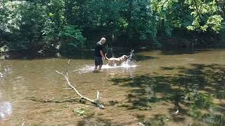 Newt and his older brother Sean playing in the creek [upl. by Whipple11]