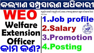 OSSC WEO Job ProfileWelfare Extension Officer Salary Promotion Posting Level WEO 2022 Details [upl. by Sutsugua]