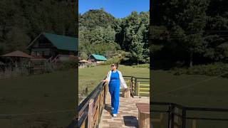 WowEman dhunia🌸 assameseshorts minivlog ziro arunachalpradesh [upl. by Saile]