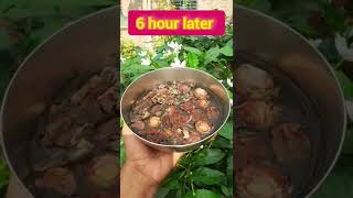 Reetha shikakai and Dry amla herbal homemade shampoo for natural hair growth shorts [upl. by Aivilys92]