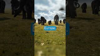 The end of the Mammoths Golden Age documentary mammoth [upl. by Arie]