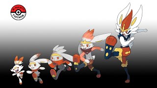 More Evolution Stages Generation 8 [upl. by Anaimad782]