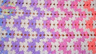 SPIKED RIPPLE  The Most Incredible Crochet Blanket [upl. by Iat]