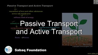 Passive Transport and Active Transport Biology Lecture  Sabaqpk [upl. by Yenohtna315]