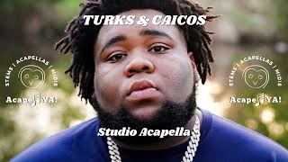 Rod Wave ft 21 Savage  Turks amp Caicos Studio Acapella [upl. by Orenid303]