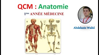 QCM  Anatomie 2 [upl. by Suhpesoj355]