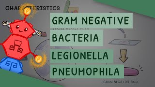 Gram Negative Bacteria Legionella Pneumophila [upl. by Eilesor]