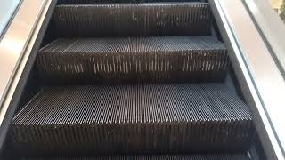 Otis Escalators at STL Galleria Mall in St Louis MO [upl. by Narag117]