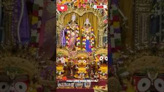 bangalore iskcon templeyoutubeshorts​⁠padmavathivlogstirupathi [upl. by Llehsram]