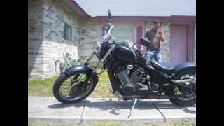 HONDA SHADOW VLX 600 LOW CUSTOM KING SOFTAIL BOBBER [upl. by Garretson285]