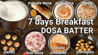 life cycle of dosa batter  7 days breakfast  masala podi uttapam appe bun omelet amp punugulu [upl. by Vardon701]