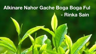 Al Kinare nahor gache boga boga ful আল কিনারে নাহর গাছে বগা বগা ফুল COVERED BY RINKA SAIN [upl. by Auberbach60]