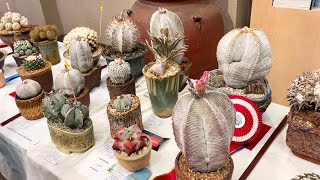 Cactus Show at The Huntington Library [upl. by Ermina]