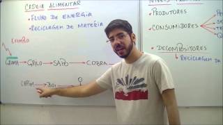 AULA BIOLOGIA FUNDAMENTOS DE ECOLOGIA  ABR 13  PROF FELIPE JARDIM [upl. by Tnaryb]