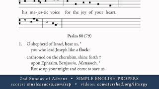 INTROIT • 2nd Sunday of Advent • SIMPLE ENGLISH PROPERS [upl. by Connelley]