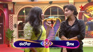 Bigg Boss Telugu 8  Day 70  Promo 1  Unforgettable Hilarious Moments 🤣 Nagarjuna  Star Maa [upl. by Lundberg]