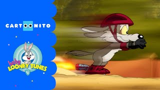 Baby Looney Tunes  Baby Coyote Song  Cartoonito [upl. by Graham]