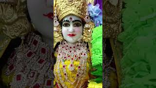 राधाradha tvshow easyweddinginstagram om kewanan amritsar youtube shortvideo videolove [upl. by Zaccaria]