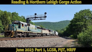 Reading amp Northern Lehigh Gorge Action June Part 1 [upl. by Nerrej835]