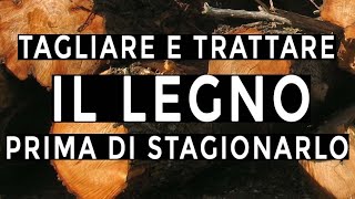 Come tratto il legno per una buona stagionatura [upl. by Ragen]