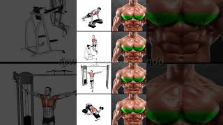 LOWER CHEST WORKOUT EXERCISES Define amp Build Chest Mass [upl. by Okimuy]