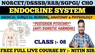 ENDOCRINE SYSTEM Medical Surgical Nursing CLASS 08FREE LIVE COURSE NORCETDSSSBRRB freeclasses [upl. by Glick]