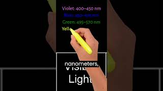 Breakdown Of The Colors In Visible Light Of The Electromagnetic Spectrum [upl. by Rubbico]