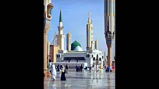 Allah hu allah 💗💗💗💓💓💓🫀🫀duet beautifulmadina naat trending love madina islamicsong answer [upl. by Kamat]