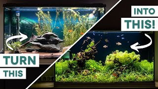 Making a planted lowtech freshwater aquarium  aquascape for beginners  no CO2 [upl. by Alrzc]